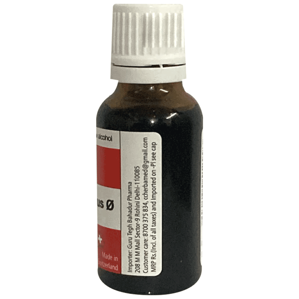 Herbamed Chionanthus virginica Mother Tincture Q bottle of 20 ml Mother Tincture Herbamed Chionanthus virginica Mother Tincture Q bottle of 20 ml Mother Tincture