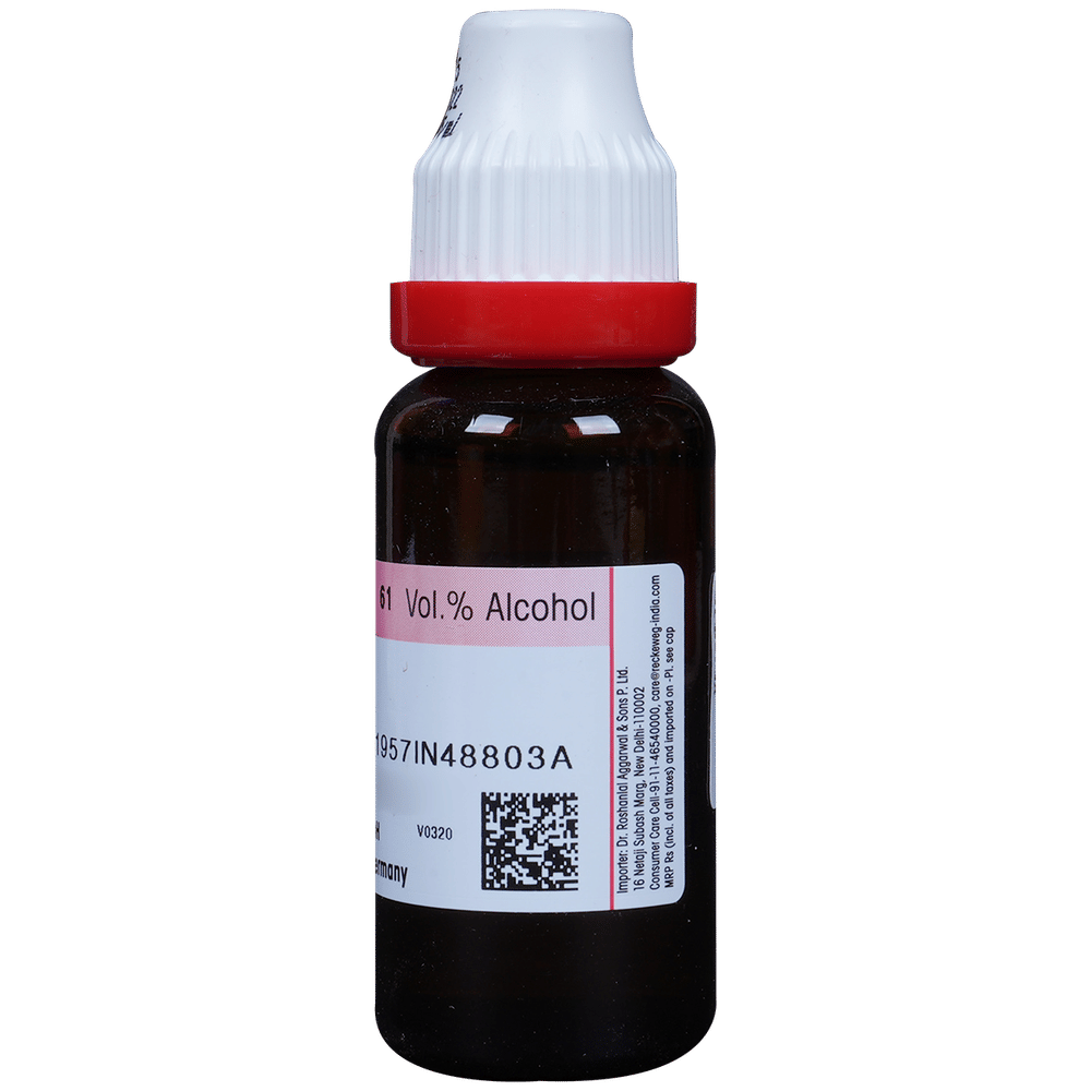 Dr. Reckeweg Avena Sat Mother Tincture Q bottle of 20 ml Mother Tincture Dr. Reckeweg Avena Sat Mother Tincture Q bottle of 20 ml Mother Tincture