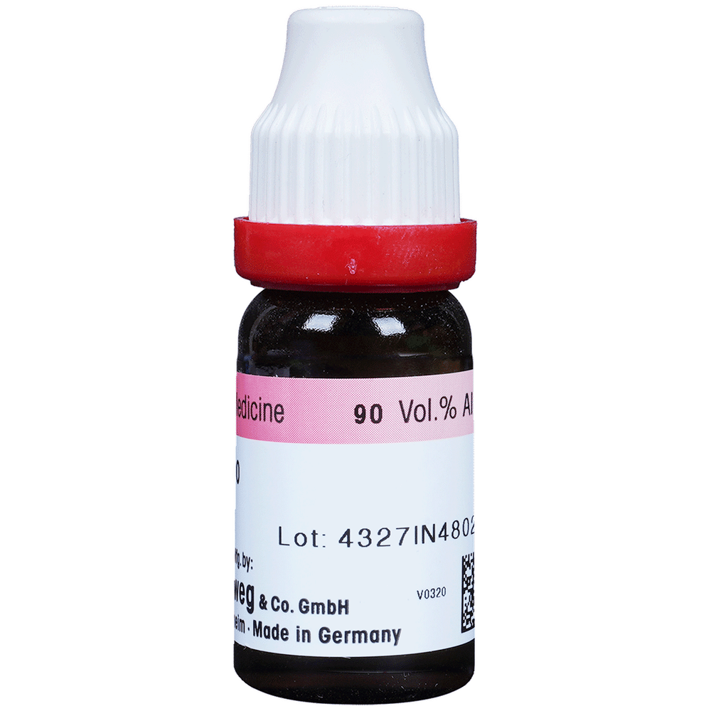 Dr. Reckeweg Lachesis Dilution 200 CH bottle of 11 ml Dilution Dr. Reckeweg Lachesis Dilution 200 CH bottle of 11 ml Dilution
