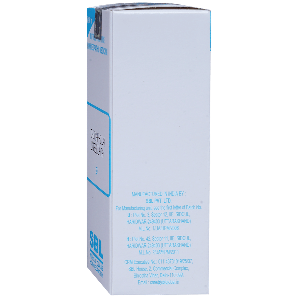 SBL Chimaphila Umbellata Mother Tincture Q bottle of 30 ml Mother Tincture SBL Chimaphila Umbellata Mother Tincture Q bottle of 30 ml Mother Tincture