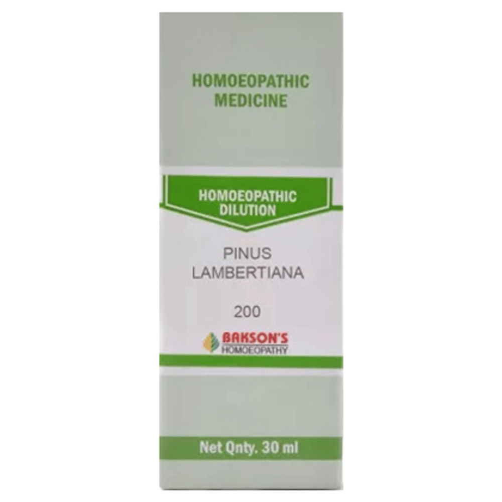 Bakson's Homeopathy Pinus Lambertiana Dilution 200 bottle of 30 ml Dilution