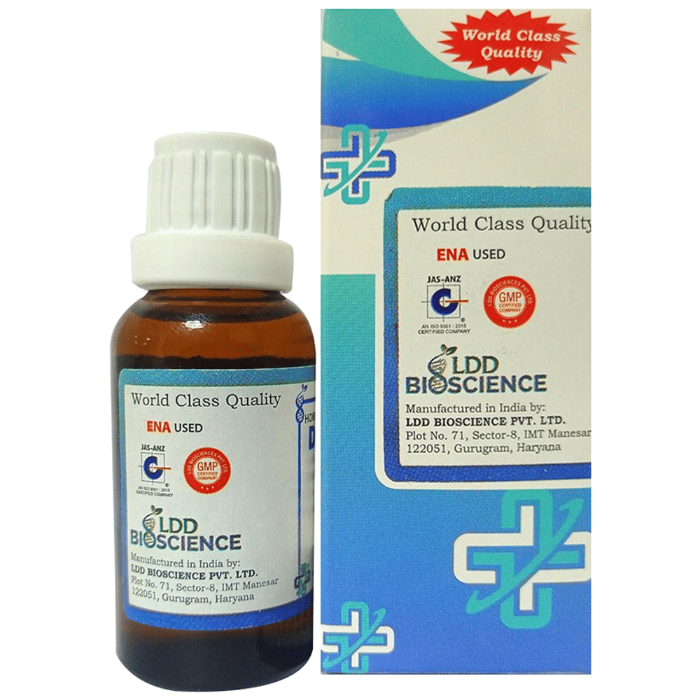 LDD Bioscience Anacardium Orientale Dilution 1000 CH bottle of 30 ml Dilution LDD Bioscience Anacardium Orientale Dilution 1000 CH bottle of 30 ml Dilution