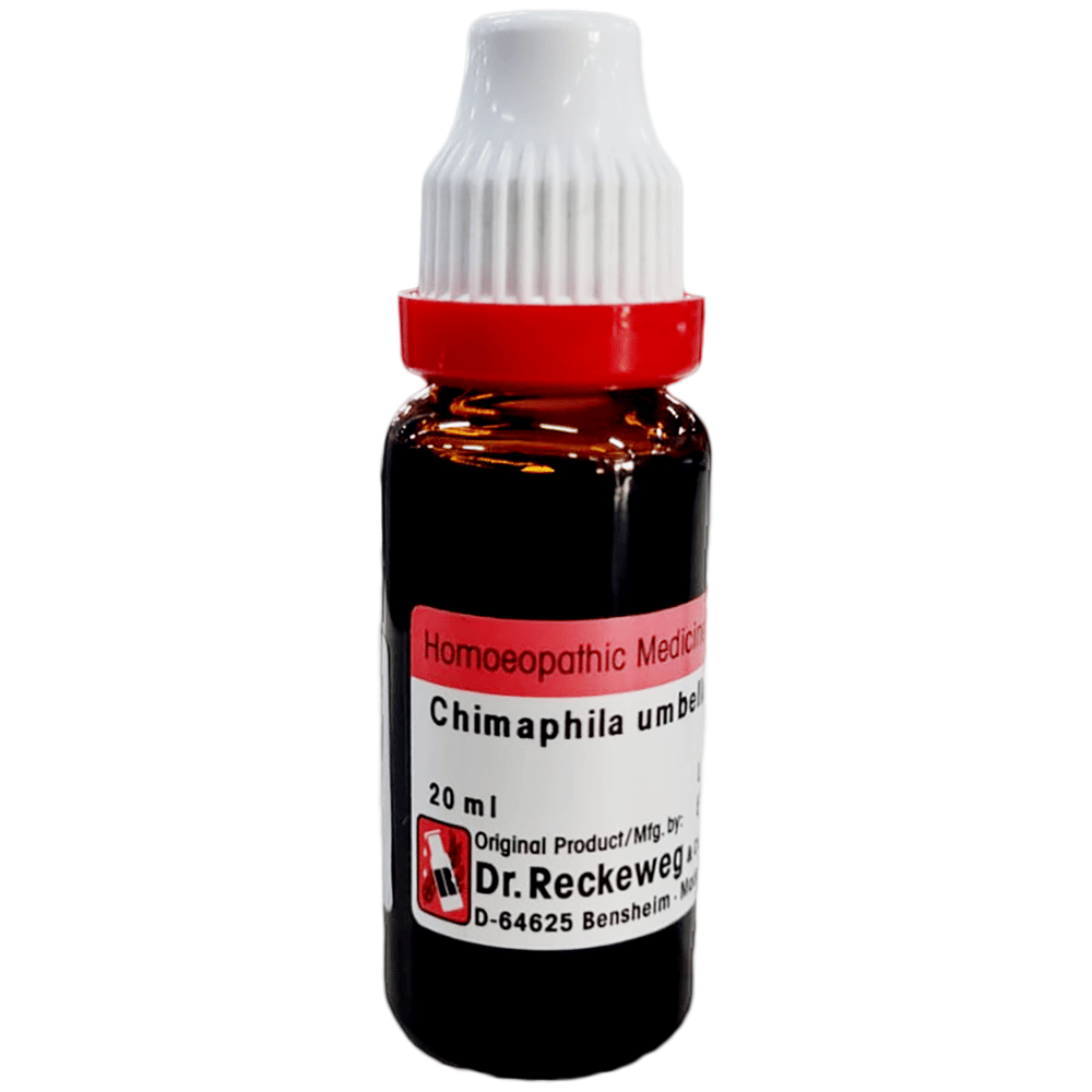 Dr. Reckeweg Chimaphila Umbellata Mother Tincture Q bottle of 20 ml Mother Tincture