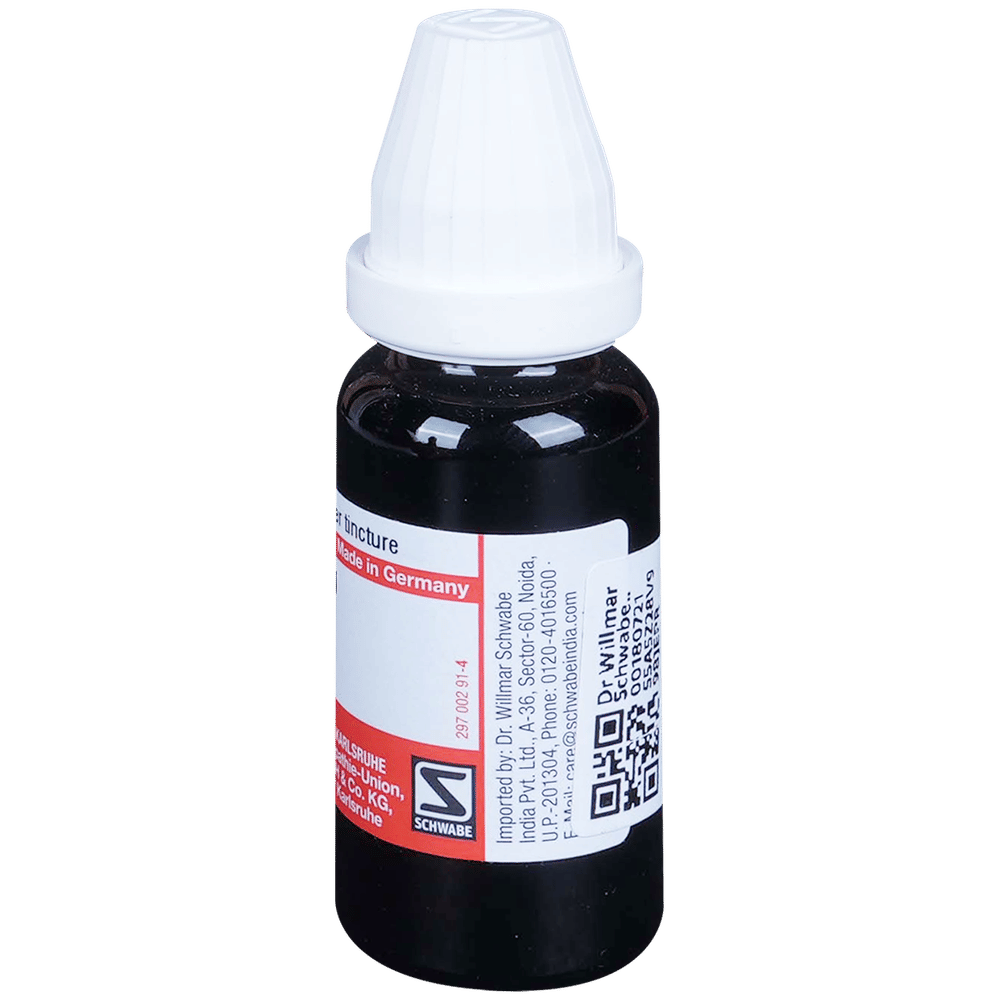 Dr Willmar Schwabe Germany Berberis Vulgaris Mother Tincture Q bottle of 20 ml Mother Tincture