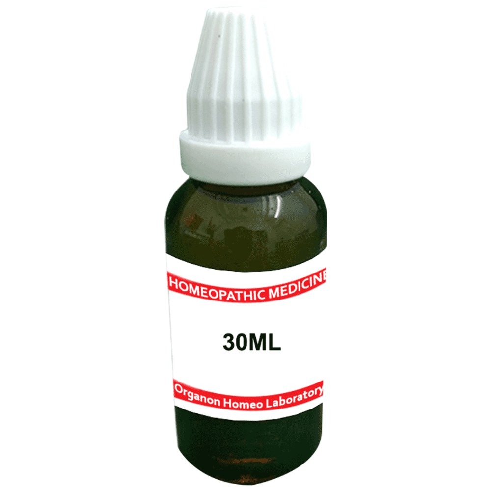 Organon Carduus Mar Mother Tincture Q bottle of 30 ml Mother Tincture