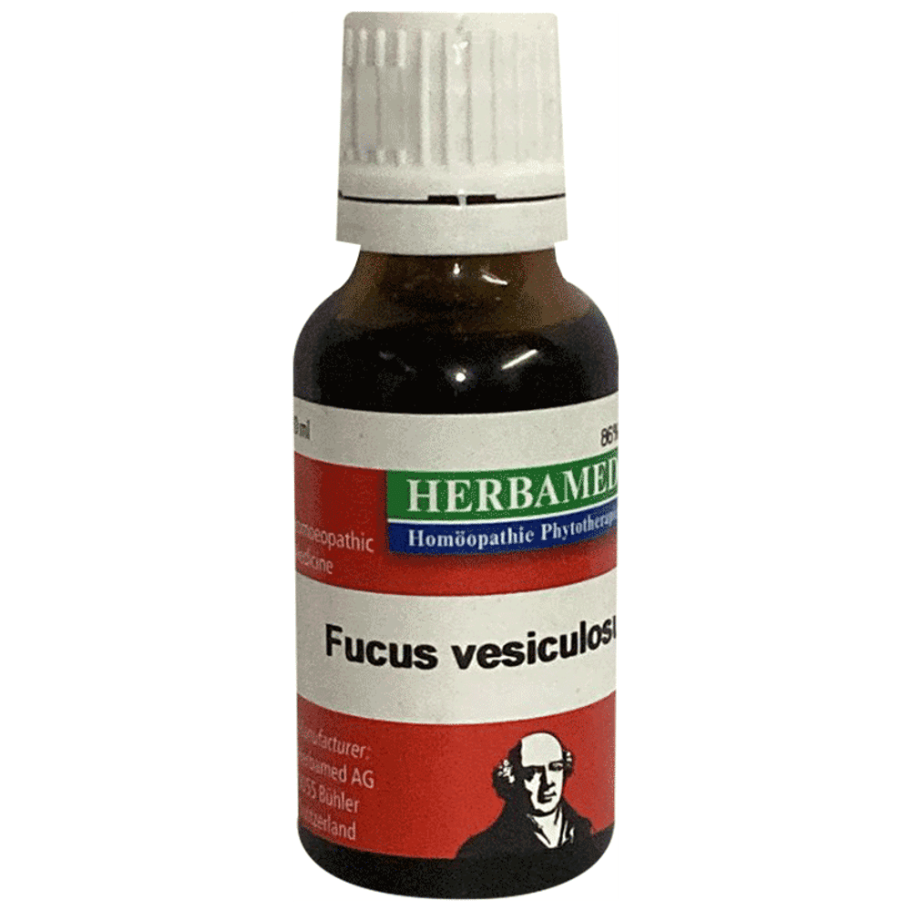 Herbamed Fucus Vesiculosus Mother Tincture Q bottle of 20 ml Mother Tincture Herbamed Fucus Vesiculosus Mother Tincture Q bottle of 20 ml Mother Tincture