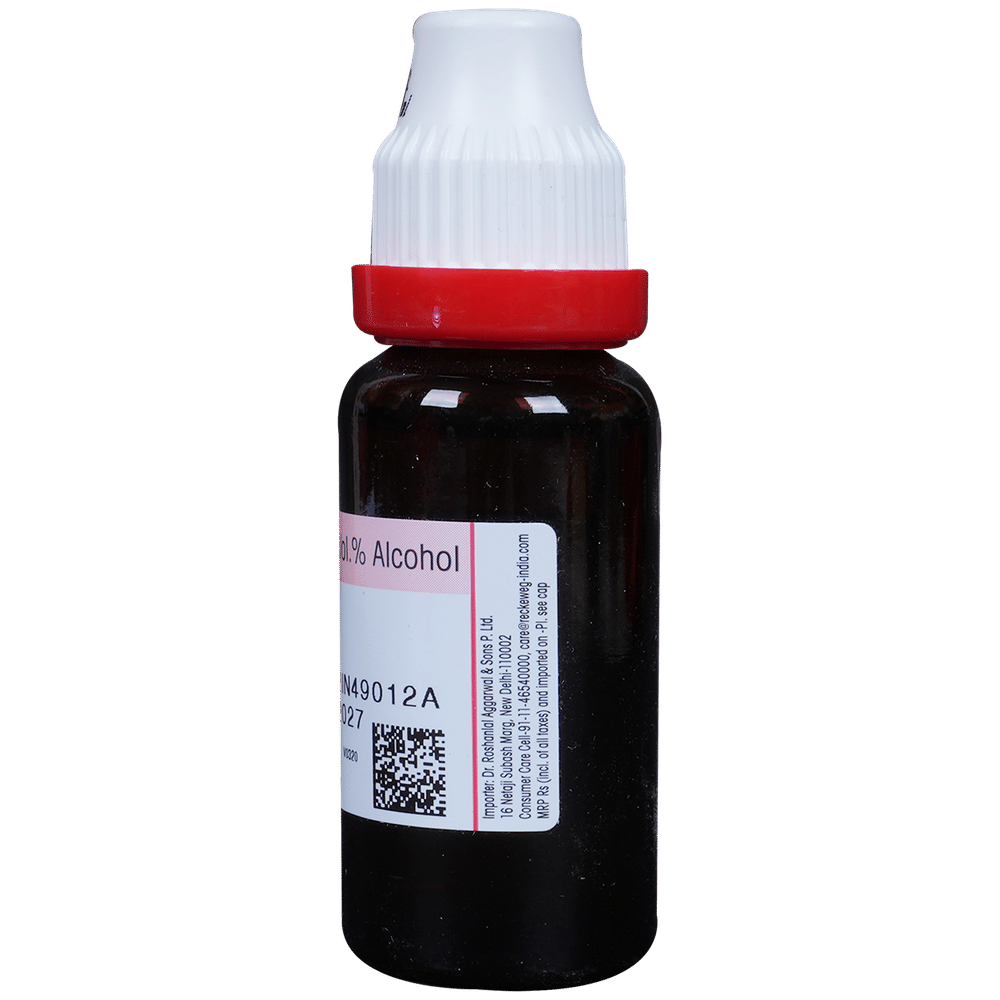 Dr. Reckeweg Agnus Cast Mother Tincture Q bottle of 20 ml Mother Tincture