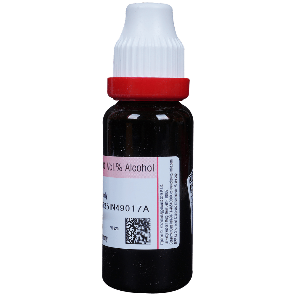 Dr. Reckeweg Gymnema Syl Mother Tincture Q bottle of 20 ml Mother Tincture