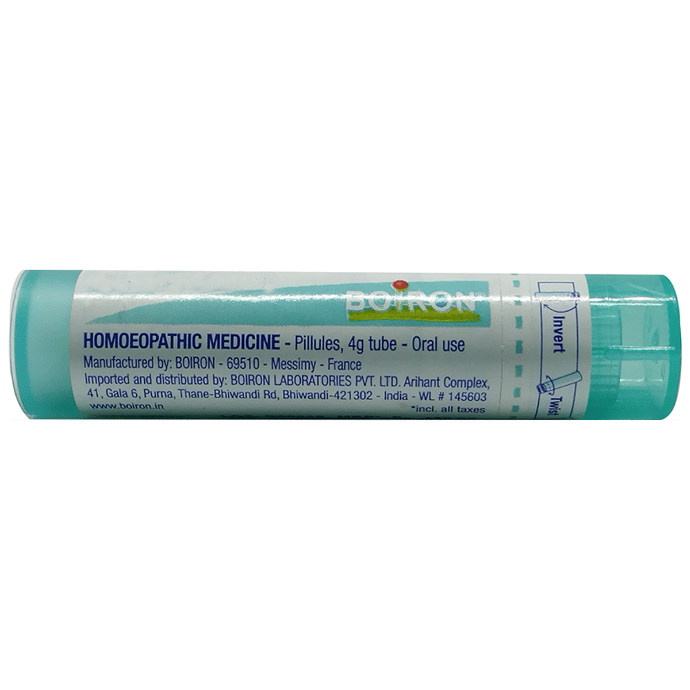 Boiron Ledum Palustre Pellets 10M bottle of 80 pellets