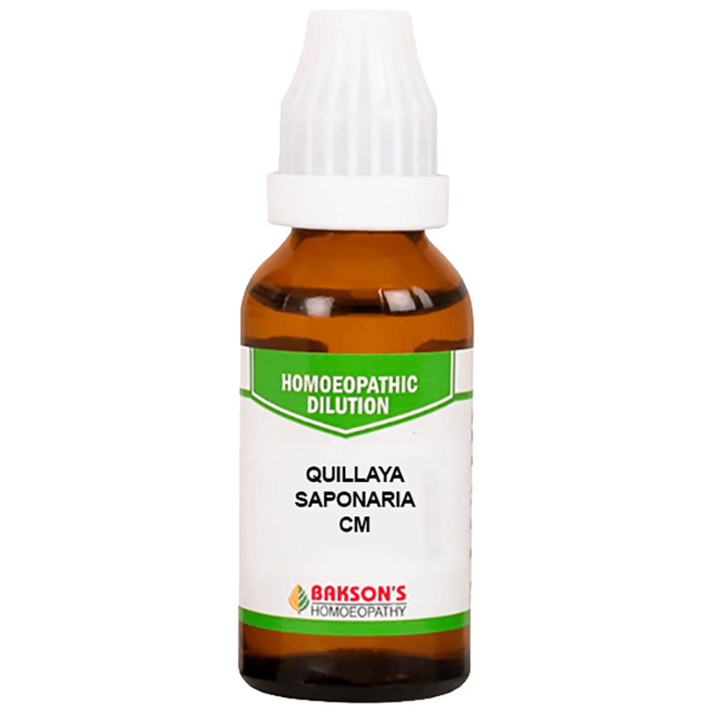 Bakson's Homeopathy Quillaya Saponaria Dilution CM bottle of 30 ml Dilution Bakson's Homeopathy Quillaya Saponaria Dilution CM bottle of 30 ml Dilution