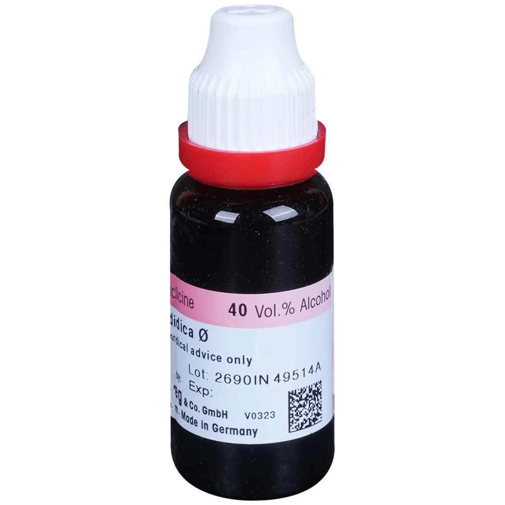 Dr. Reckeweg Cephalandra Mother Tincture Q bottle of 20 ml Mother Tincture Dr. Reckeweg Cephalandra Mother Tincture Q bottle of 20 ml Mother Tincture