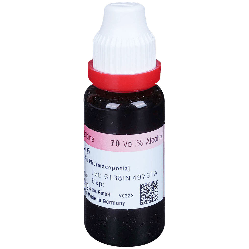 Dr. Reckeweg Sterculia Mother Tincture Q bottle of 20 ml Mother Tincture Dr. Reckeweg Sterculia Mother Tincture Q bottle of 20 ml Mother Tincture