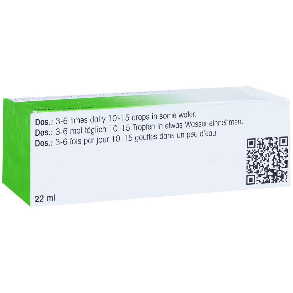 Dr. Reckeweg R32 Excessive Perspiration Drop bottle of 22 ml Drop Dr. Reckeweg R32 Excessive Perspiration Drop bottle of 22 ml Drop