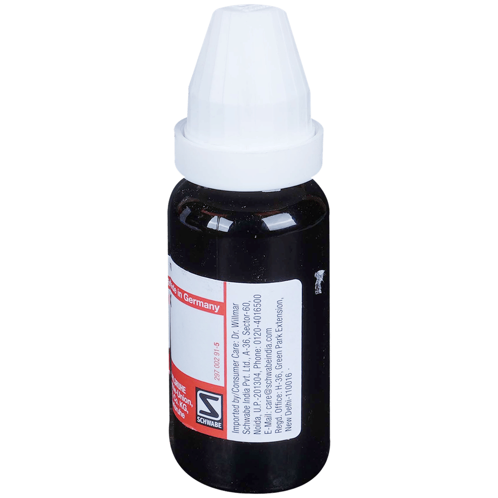 Dr Willmar Schwabe Germany Serum Anguillae Dilution 6X bottle of 20 ml Dilution