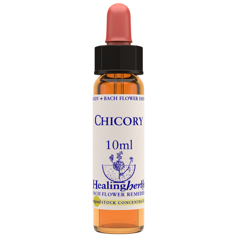 Healing Herbs Bach Flower Chicory bottle of 10 ml Liquid
