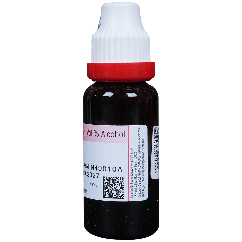 Dr. Reckeweg Kalmegh Mother Tincture Q bottle of 20 ml Mother Tincture Dr. Reckeweg Kalmegh Mother Tincture Q bottle of 20 ml Mother Tincture