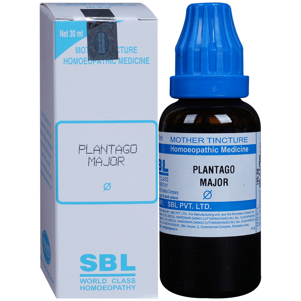 SBL Plantago Major Mother Tincture Q bottle of 30 ml Mother Tincture