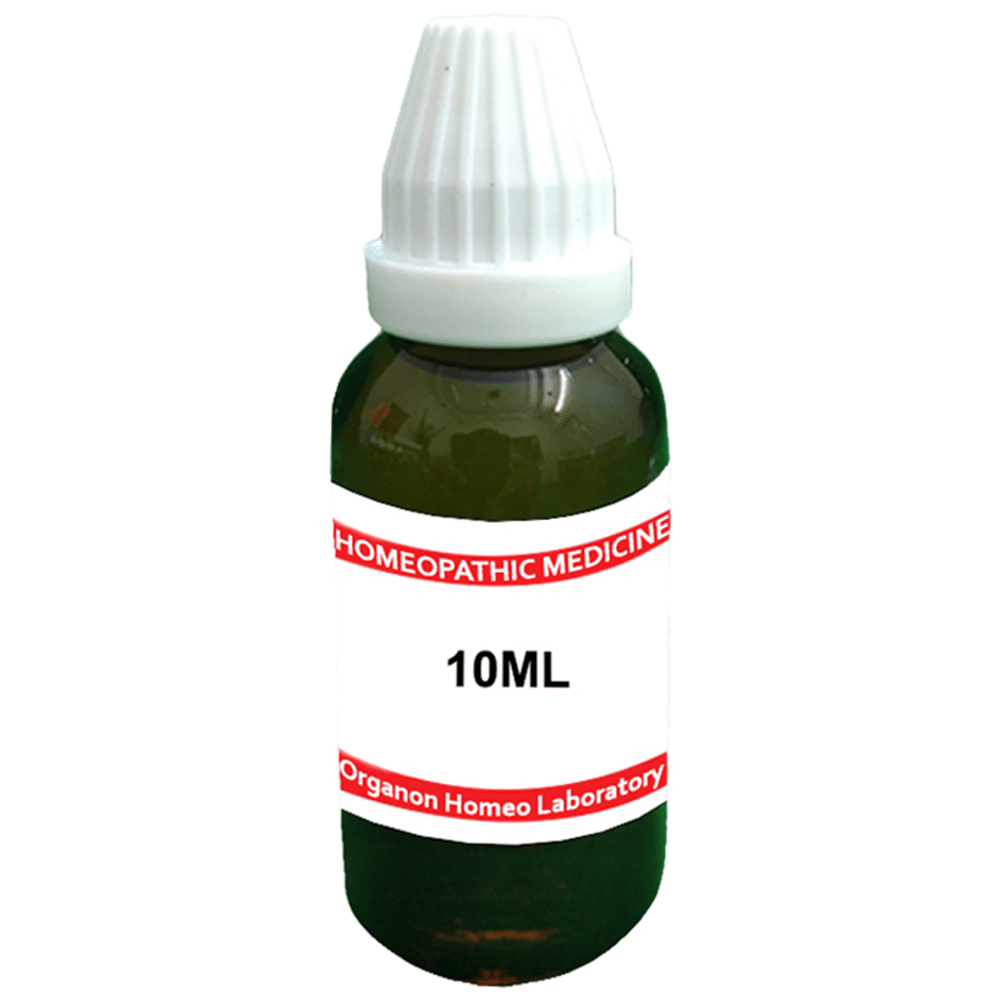 Organon Carbo Veg Dilution 6 bottle of 10 ml Dilution