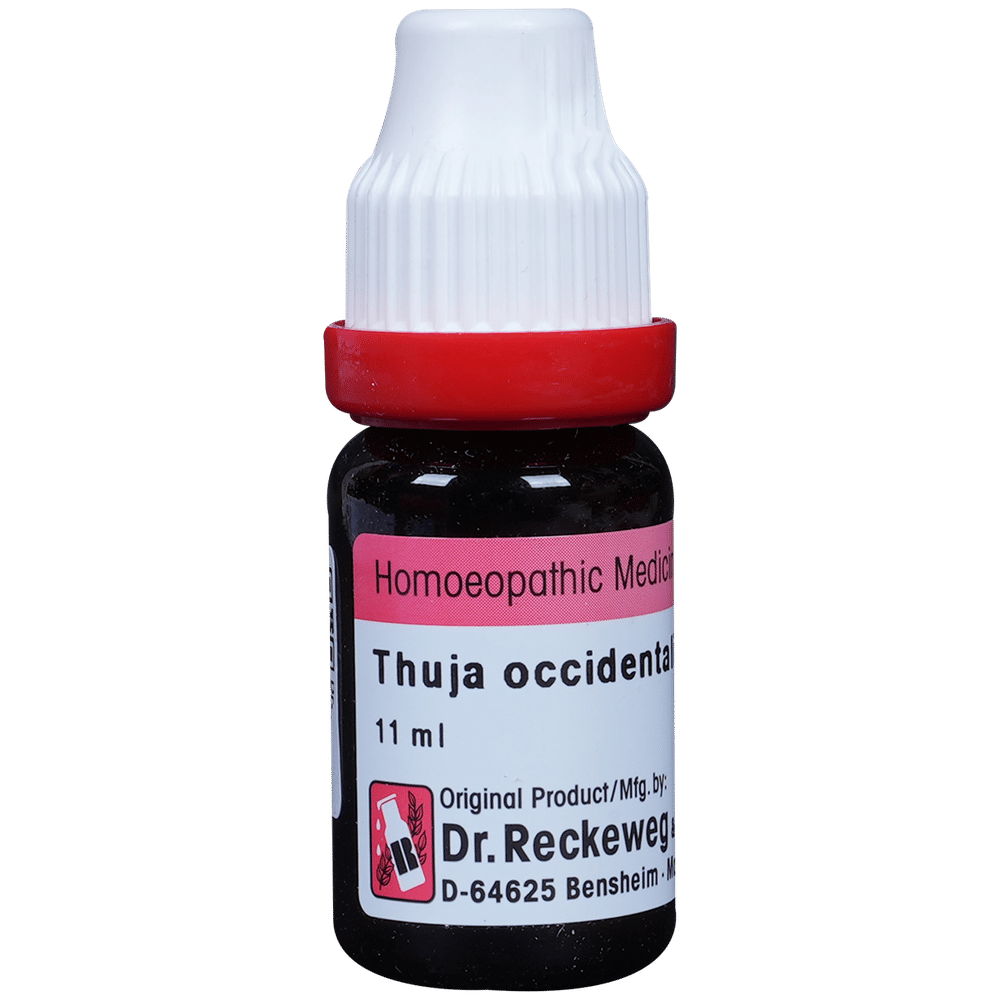 Dr. Reckeweg Thuja Occ Dilution 200 CH bottle of 11 ml Dilution