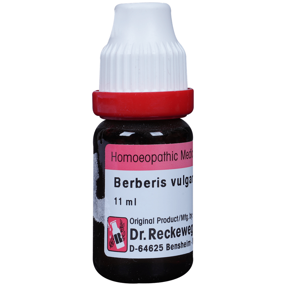 Dr. Reckeweg Berberis Vul Dilution 30 CH bottle of 11 ml Dilution