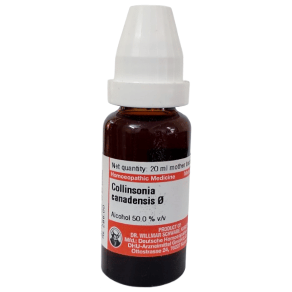 Dr Willmar Schwabe Germany Collinsonia Canadensis Mother Tincture Q bottle of 20 ml Mother Tincture Dr Willmar Schwabe Germany Collinsonia Canadensis Mother Tincture Q bottle of 20 ml Mother Tincture