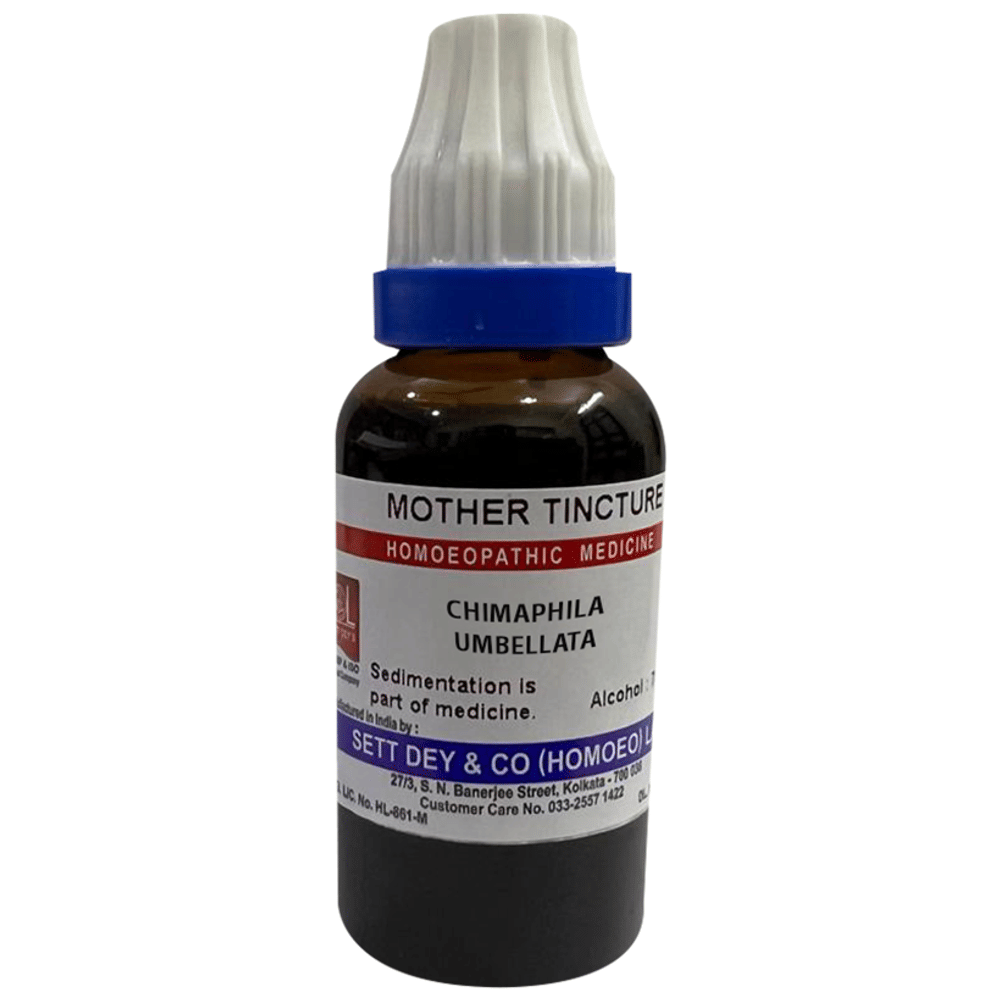 Sett Dey Chimaphila Umbellata Mother Tincture bottle of 30 ml Mother Tincture Sett Dey Chimaphila Umbellata Mother Tincture bottle of 30 ml Mother Tincture