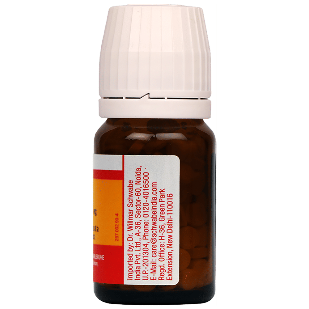 Dr Willmar Schwabe Germany Bio-Plasgen 19 Tablet bottle of 20 gm Tablet