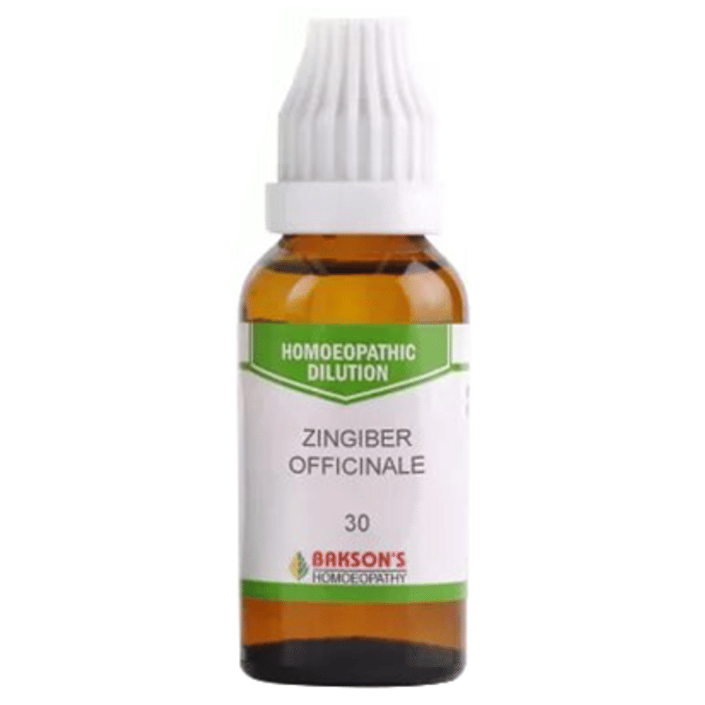 Bakson's Homeopathy Zingiber Officinale  Dilution 30 bottle of 30 ml Dilution