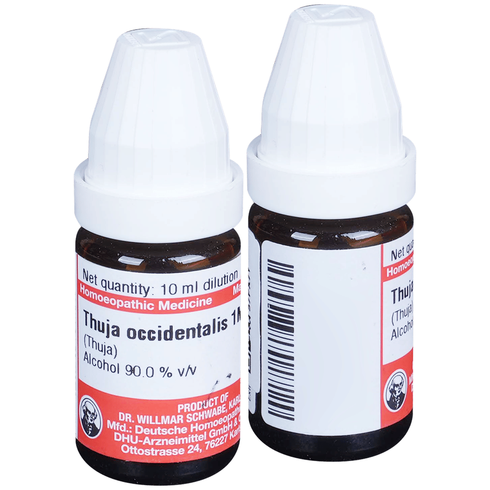 Dr Willmar Schwabe Germany Thuja Occidentalis Dilution 1M bottle of 10 ml Dilution
