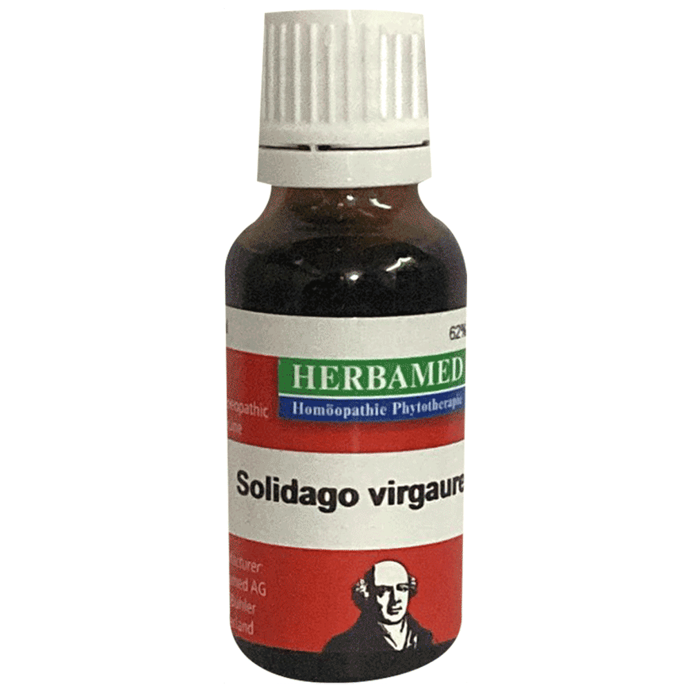 Herbamed Solidago Virgaurea Mother Tincture Q bottle of 20 ml Mother Tincture
