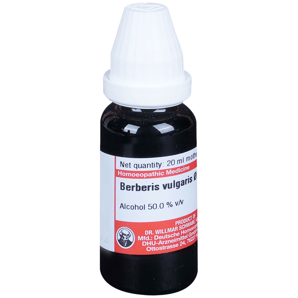 Dr Willmar Schwabe Germany Berberis Vulgaris Mother Tincture Q bottle of 20 ml Mother Tincture
