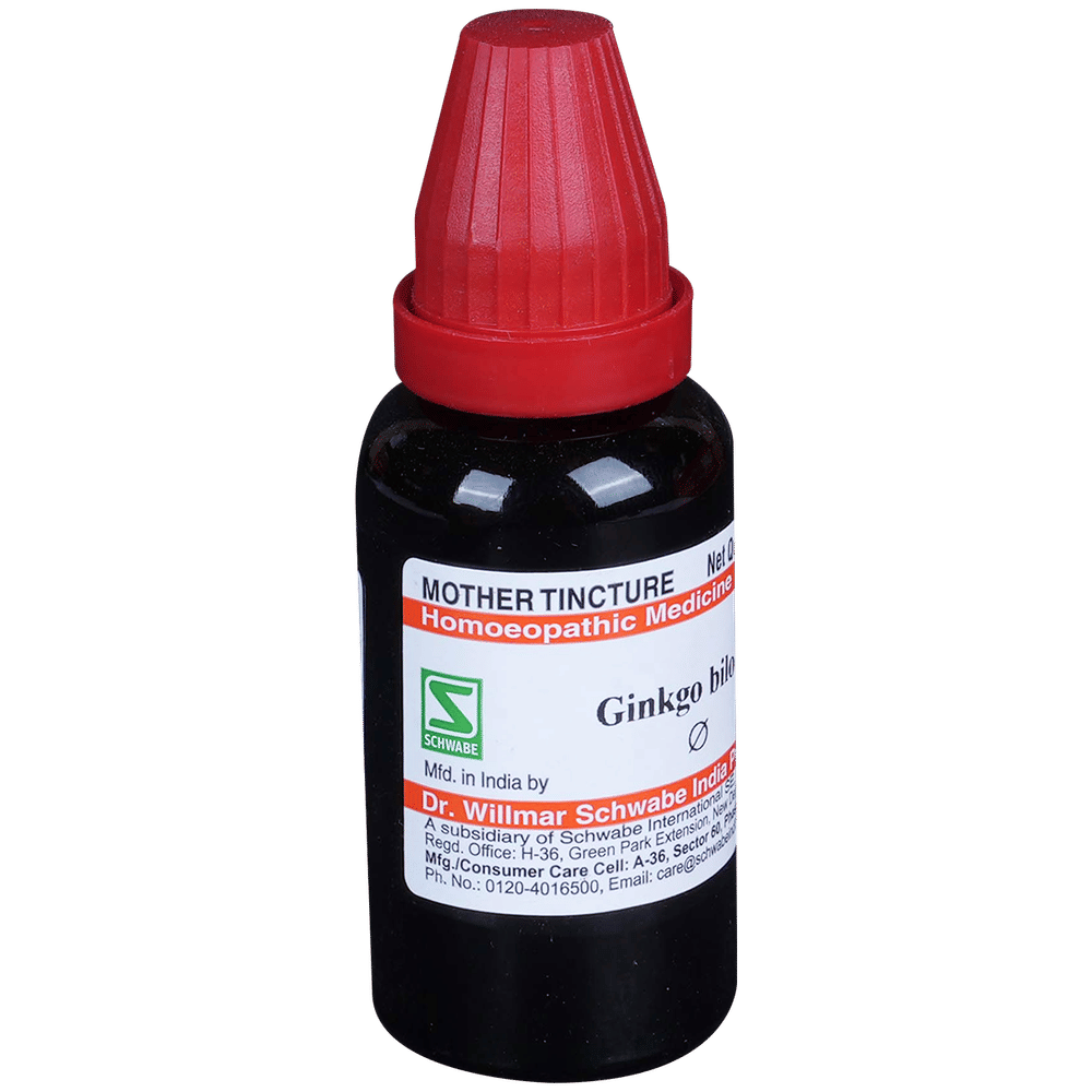 Dr Willmar Schwabe India Ginkgo Biloba Mother Tincture Q bottle of 30 ml Mother Tincture