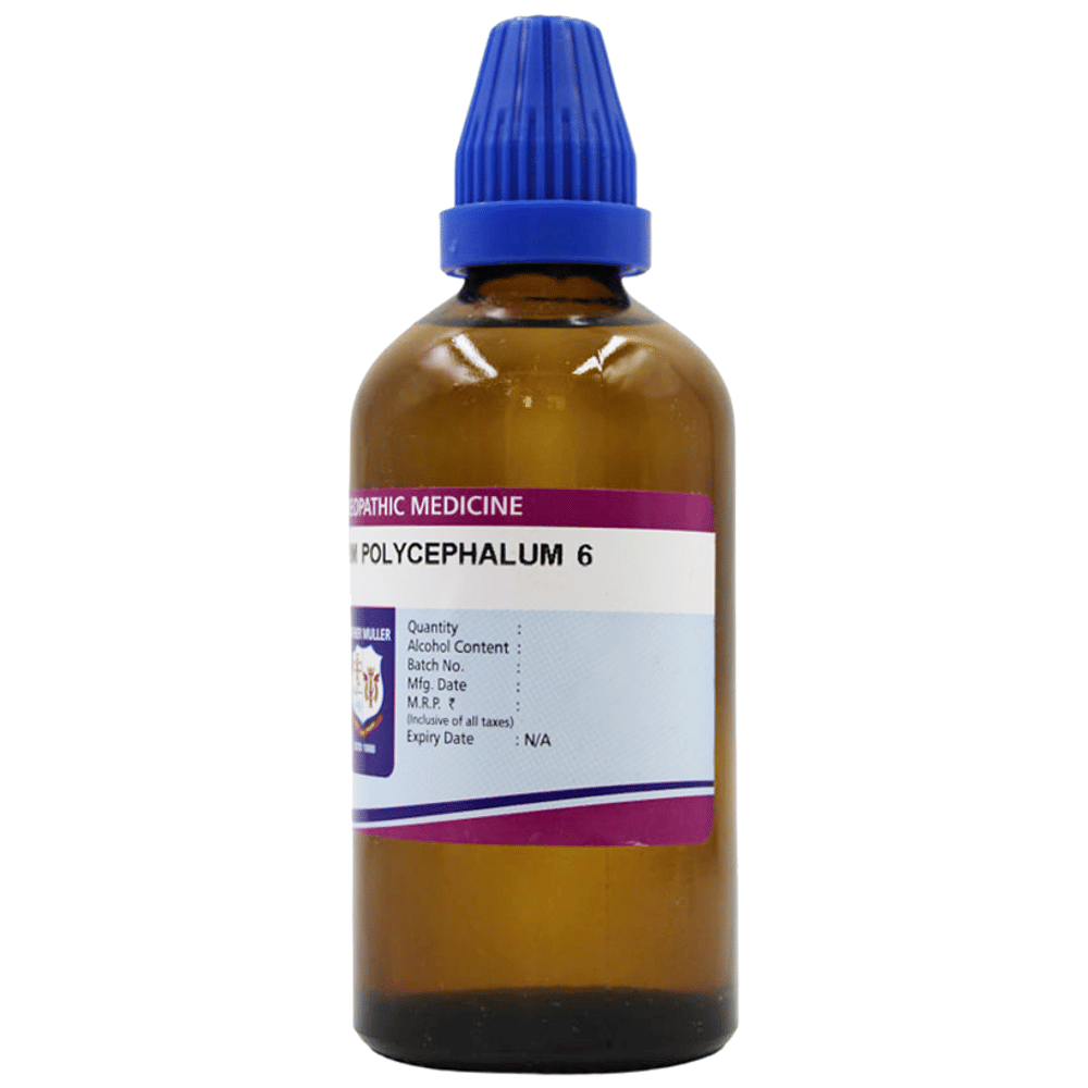 Father Muller Gnaphalium Polycephalum Drop 6C bottle of 100 ml Drop