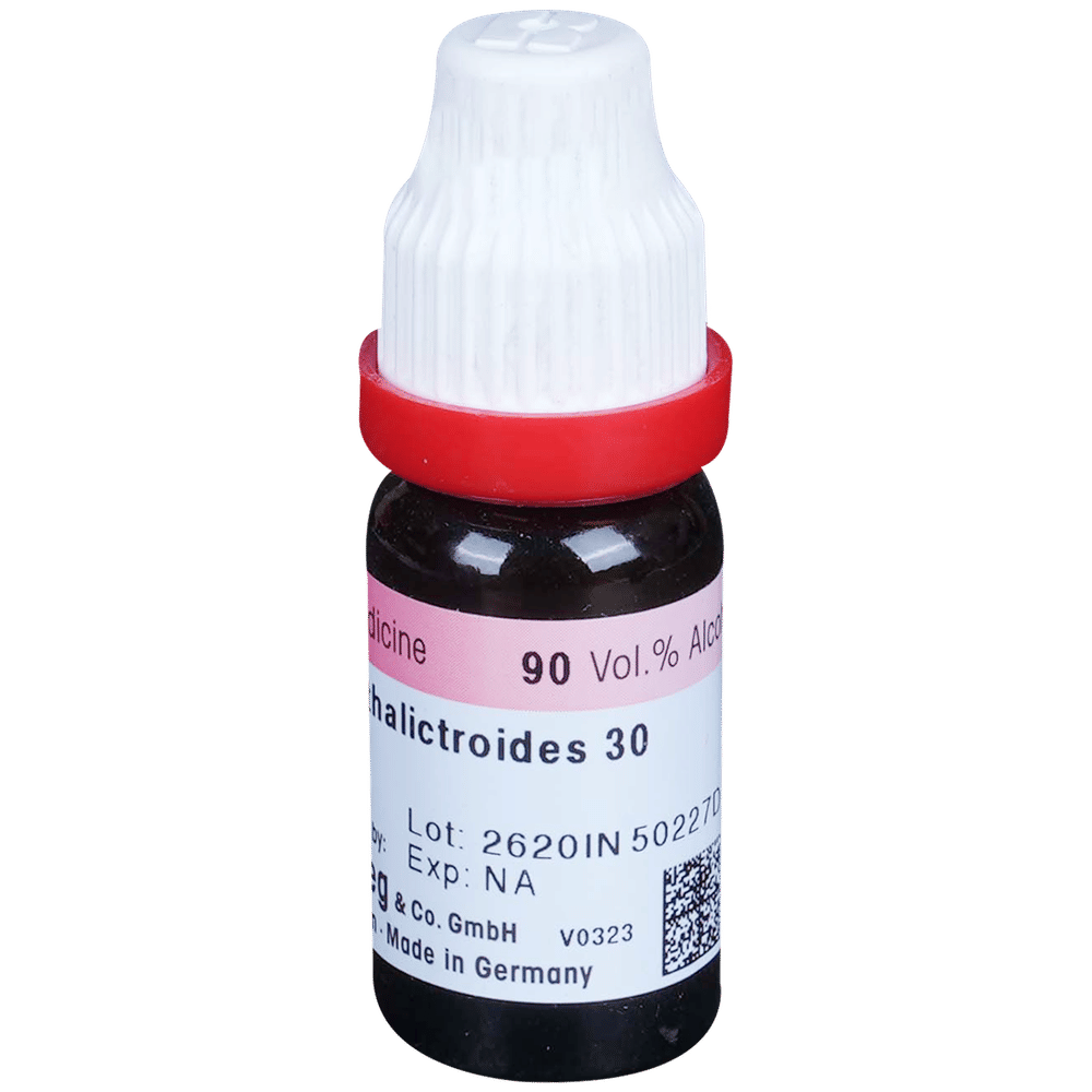Dr. Reckeweg Caulophyllum Dilution 30 CH bottle of 11 ml Dilution Dr. Reckeweg Caulophyllum Dilution 30 CH bottle of 11 ml Dilution