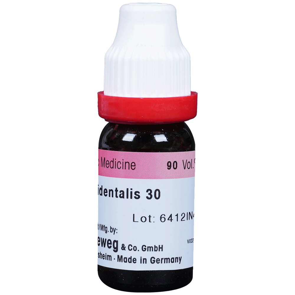 Dr. Reckeweg Thuja Occ Dilution 30 CH bottle of 11 ml Dilution