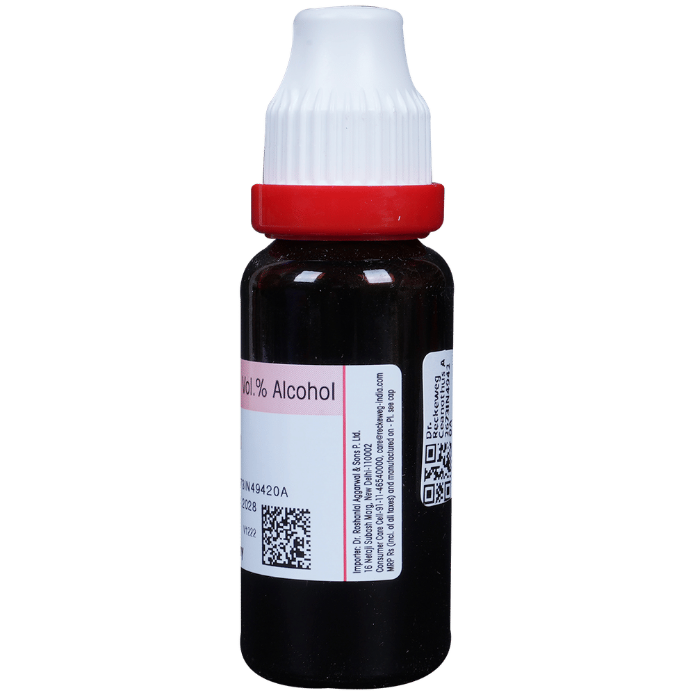 Dr. Reckeweg Ceanothus A Mother Tincture Q bottle of 20 ml Mother Tincture