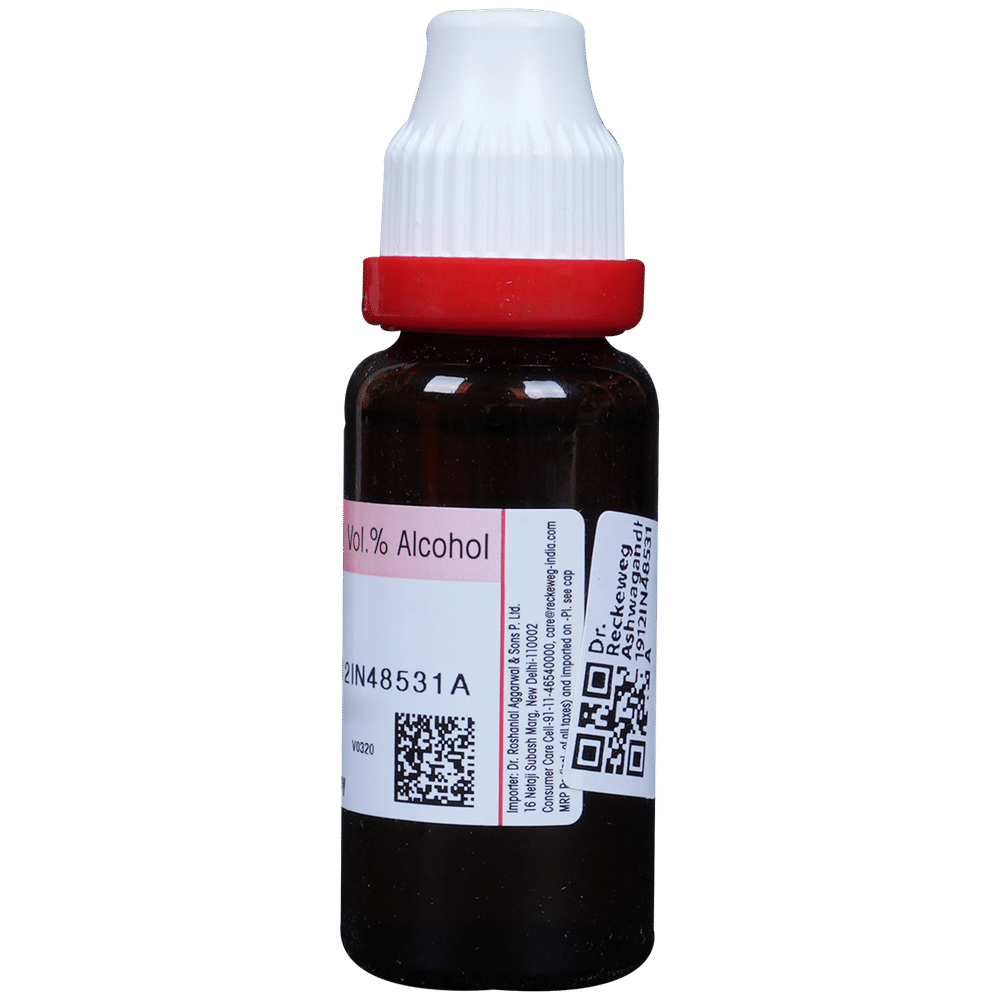 Dr. Reckeweg Ashwagandha Mother Tincture Q bottle of 20 ml Mother Tincture Dr. Reckeweg Ashwagandha Mother Tincture Q bottle of 20 ml Mother Tincture