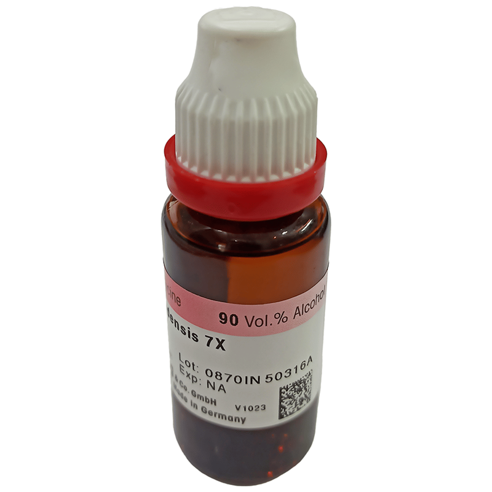 Dr. Reckeweg Hydrastis Canadensis Mother Tincture 7X bottle of 20 ml Mother Tincture