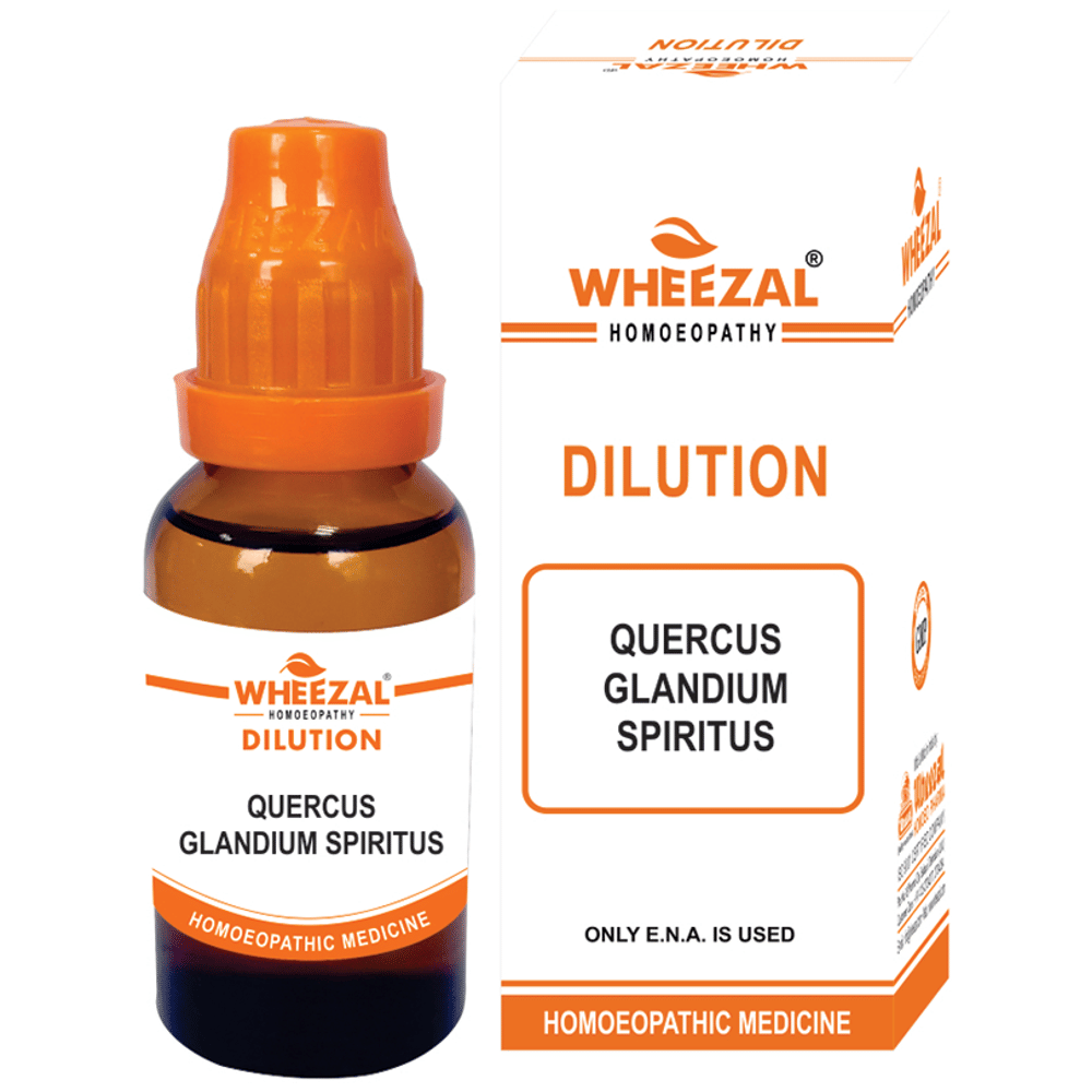 Wheezal Quercus Glandium Spiritus Dilution 30 bottle of 30 ml Dilution