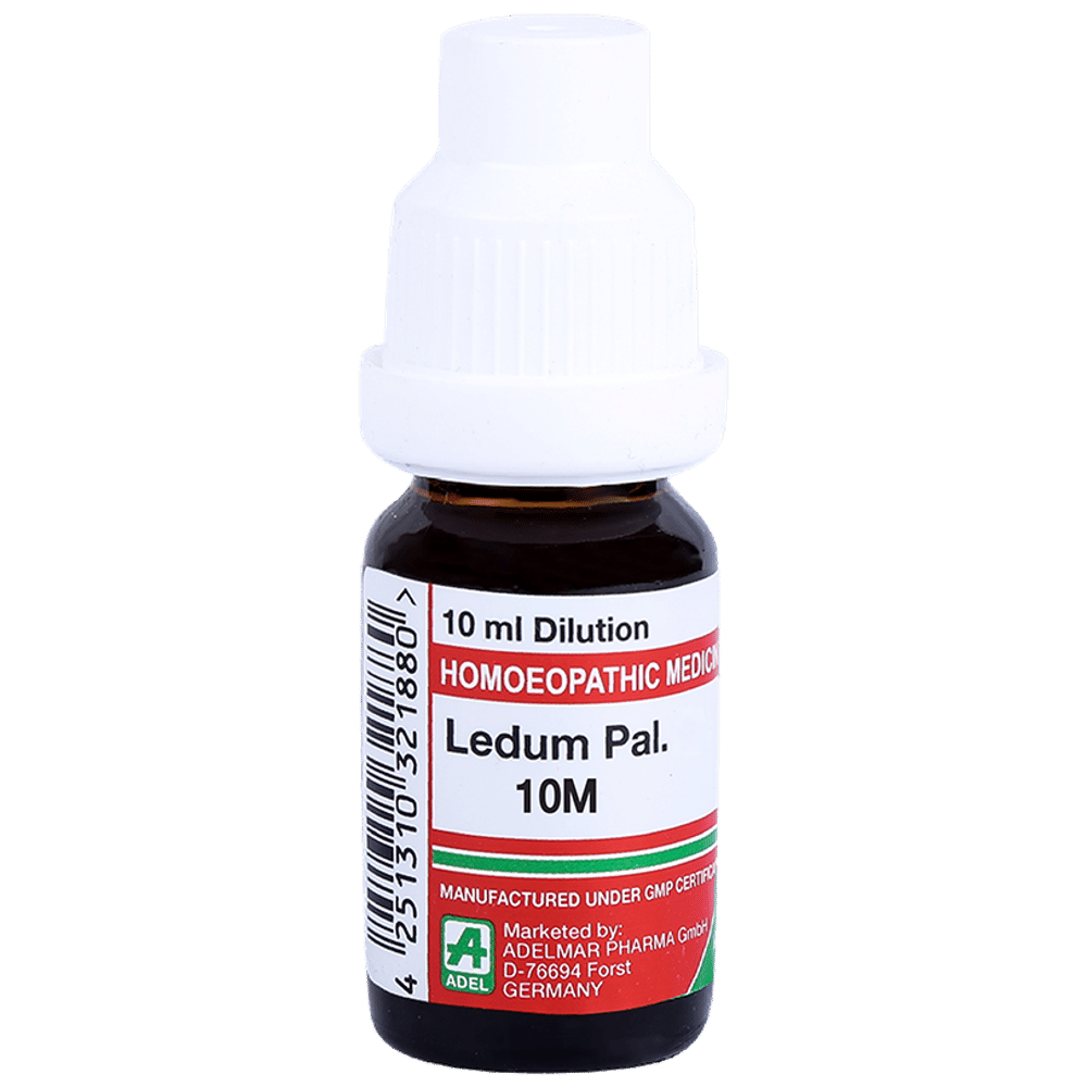 ADEL Ledum Pal.  Dilution 10M bottle of 10 ml Dilution