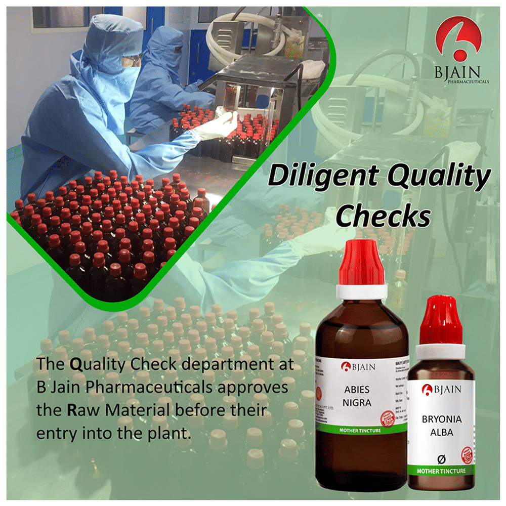 Bjain Daphne Indica Mother Tincture Q bottle of 100 ml Mother Tincture Bjain Daphne Indica Mother Tincture Q bottle of 100 ml Mother Tincture