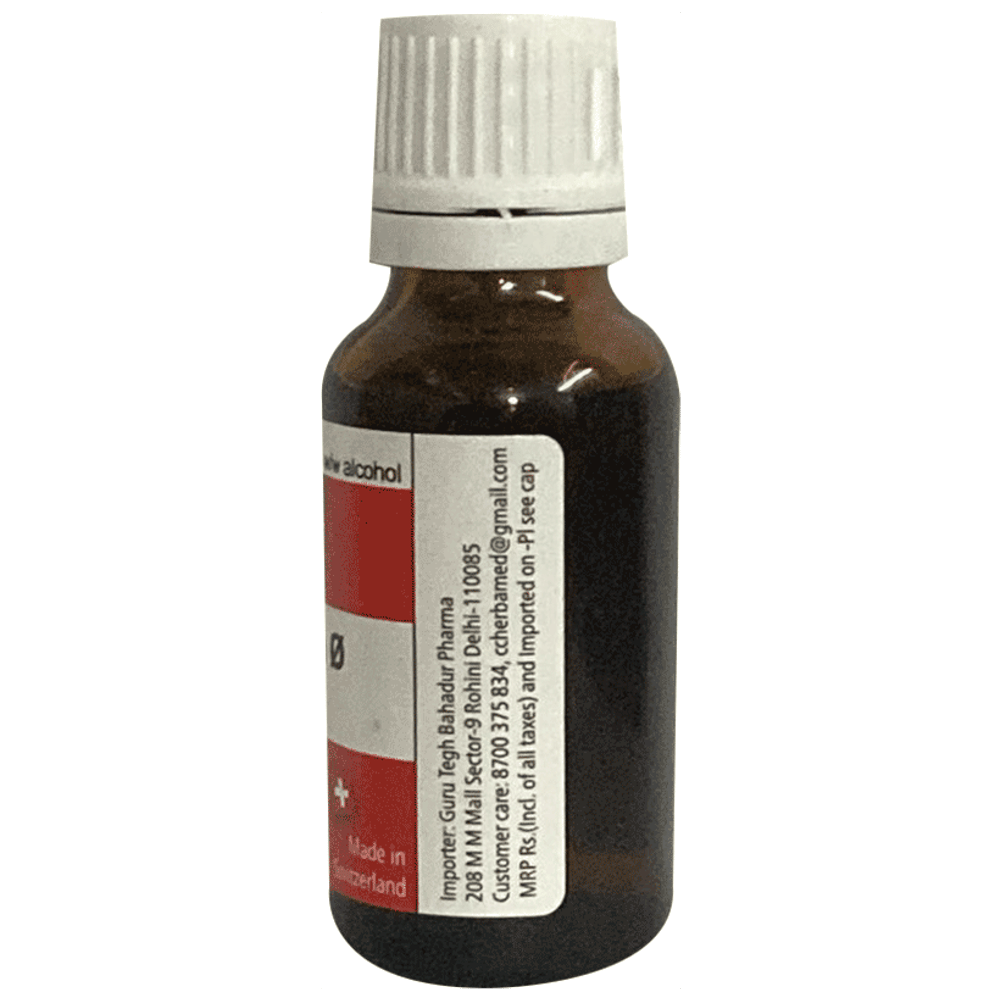 Herbamed Polygala Senega  Mother Tincture Q bottle of 20 ml Mother Tincture