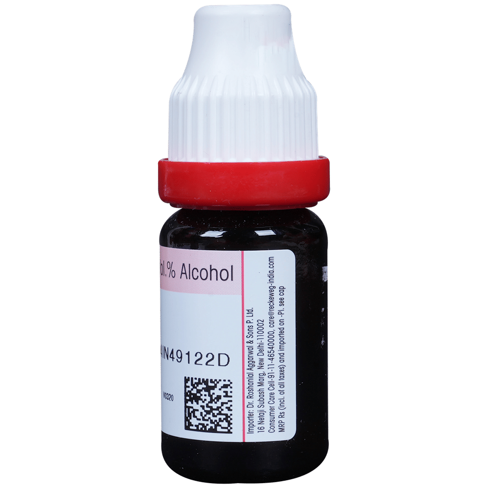 Dr. Reckeweg Lycopodium Dilution 30 CH bottle of 11 ml Dilution