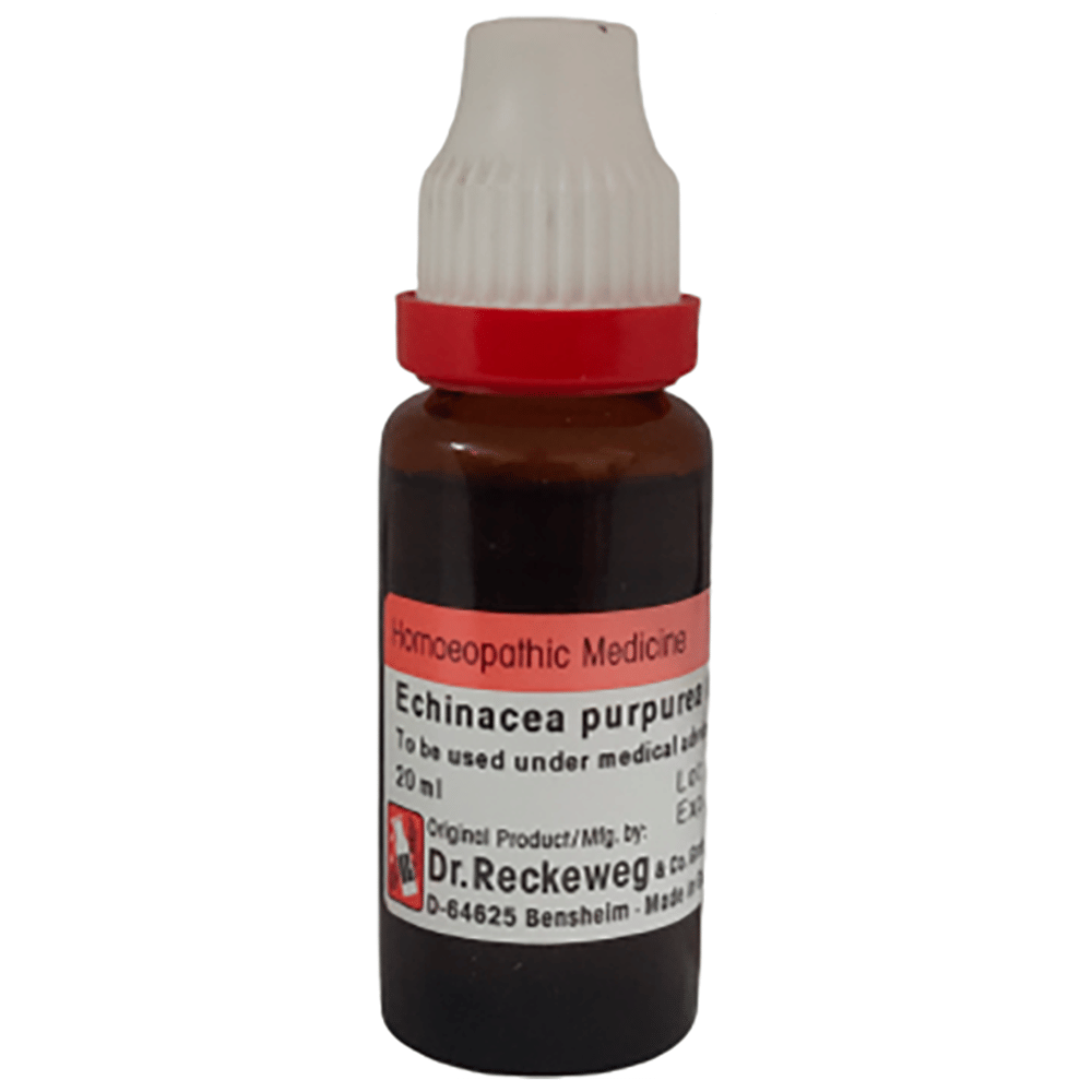 Dr Reckeweg &Co.gmbH Echinacea Purpurea Mother Tincture Q bottle of 20 ml Mother Tincture