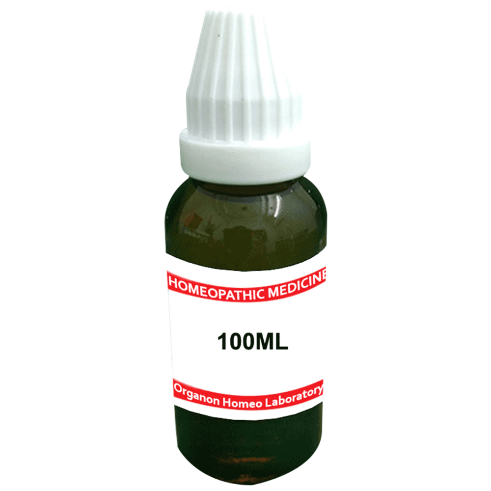 Organon Chelidonium Maj Mother Tincture Q bottle of 100 ml Mother Tincture