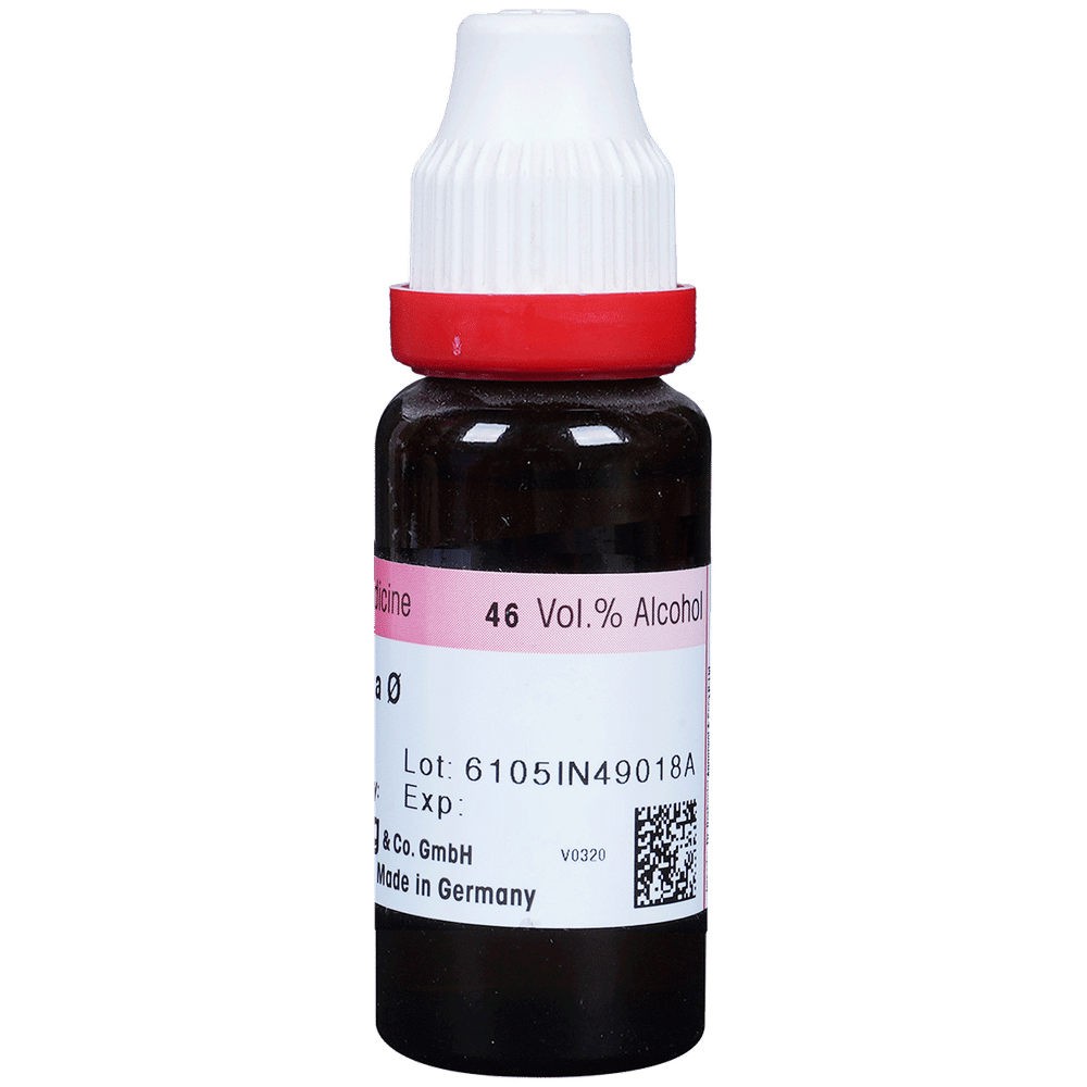 Dr. Reckeweg Stellaria Media Mother Tincture Q bottle of 20 ml Mother Tincture Dr. Reckeweg Stellaria Media Mother Tincture Q bottle of 20 ml Mother Tincture