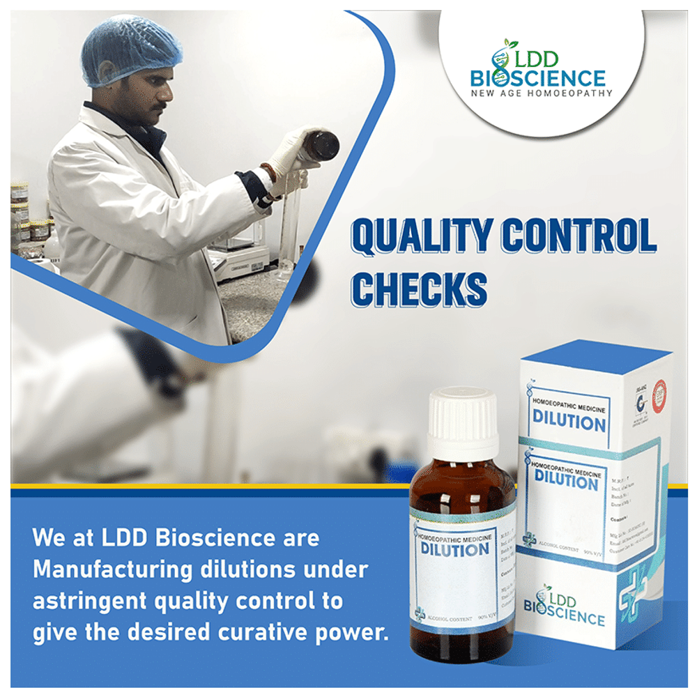 LDD Bioscience Cimicifuga Racemosa Dilution 6 CH bottle of 100 ml Dilution LDD Bioscience Cimicifuga Racemosa Dilution 6 CH bottle of 100 ml Dilution