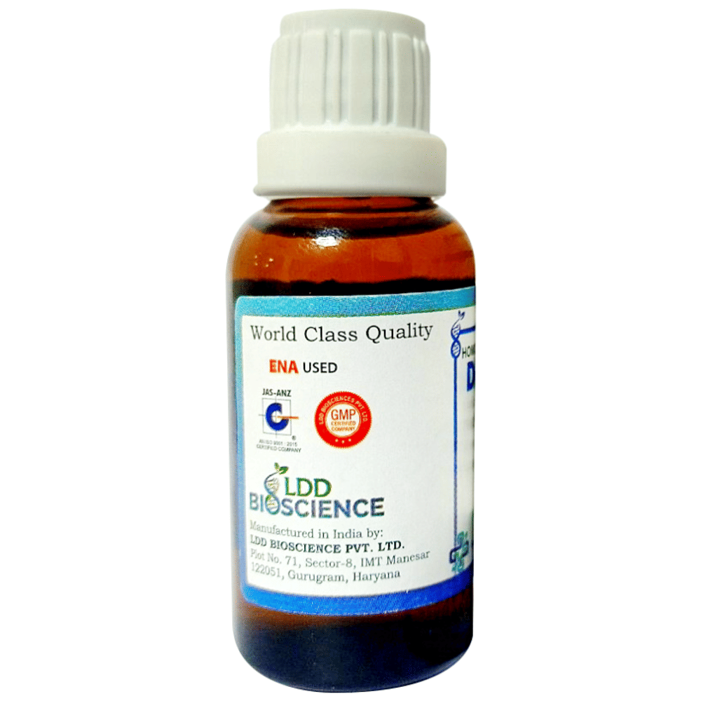 LDD Bioscience Actea Spicata Dilution 6 CH bottle of 30 ml Dilution LDD Bioscience Actea Spicata Dilution 6 CH bottle of 30 ml Dilution