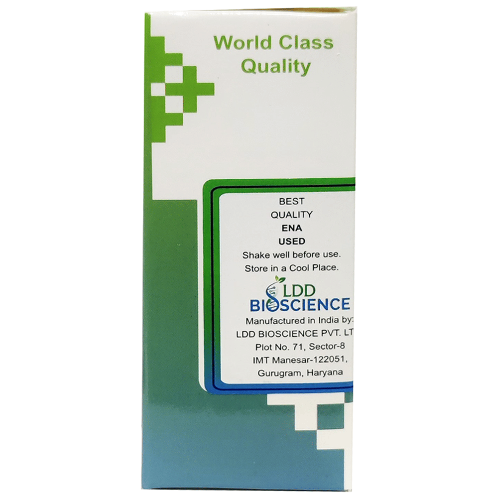 LDD Bioscience Lemna Minor Mother Tincture Q bottle of 30 ml Mother Tincture