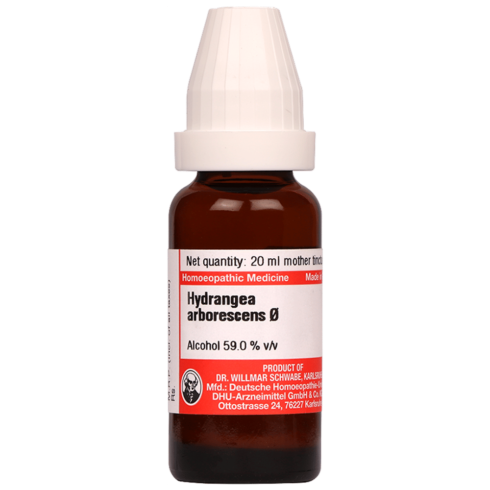 Dr Willmar Schwabe Germany Hydrangea Arborescens Mother Tincture Q bottle of 20 ml Mother Tincture Dr Willmar Schwabe Germany Hydrangea Arborescens Mother Tincture Q bottle of 20 ml Mother Tincture